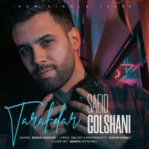 دانلود آهنگ جدید سعید گلشنی به نام طرفدار